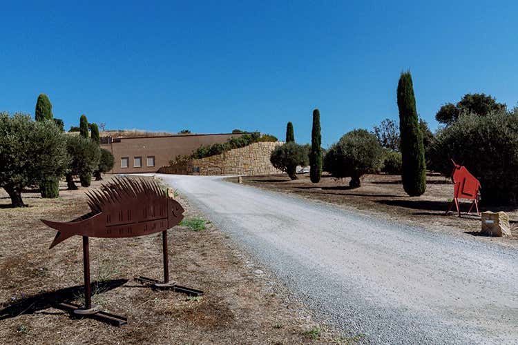 Le opere di Pellegrino in cantina a Monteverro - Monteverro dalla parte dell'arte sceglie i pesci di Bruno Pellegrino