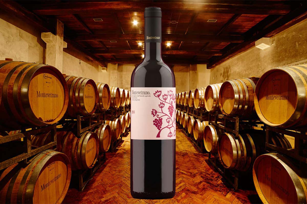 Montevetrano, una passione tutta salernitana per il vino lunga 30 anni Montevetrano, una passione tutta salernitana per il vino lunga 30 anni