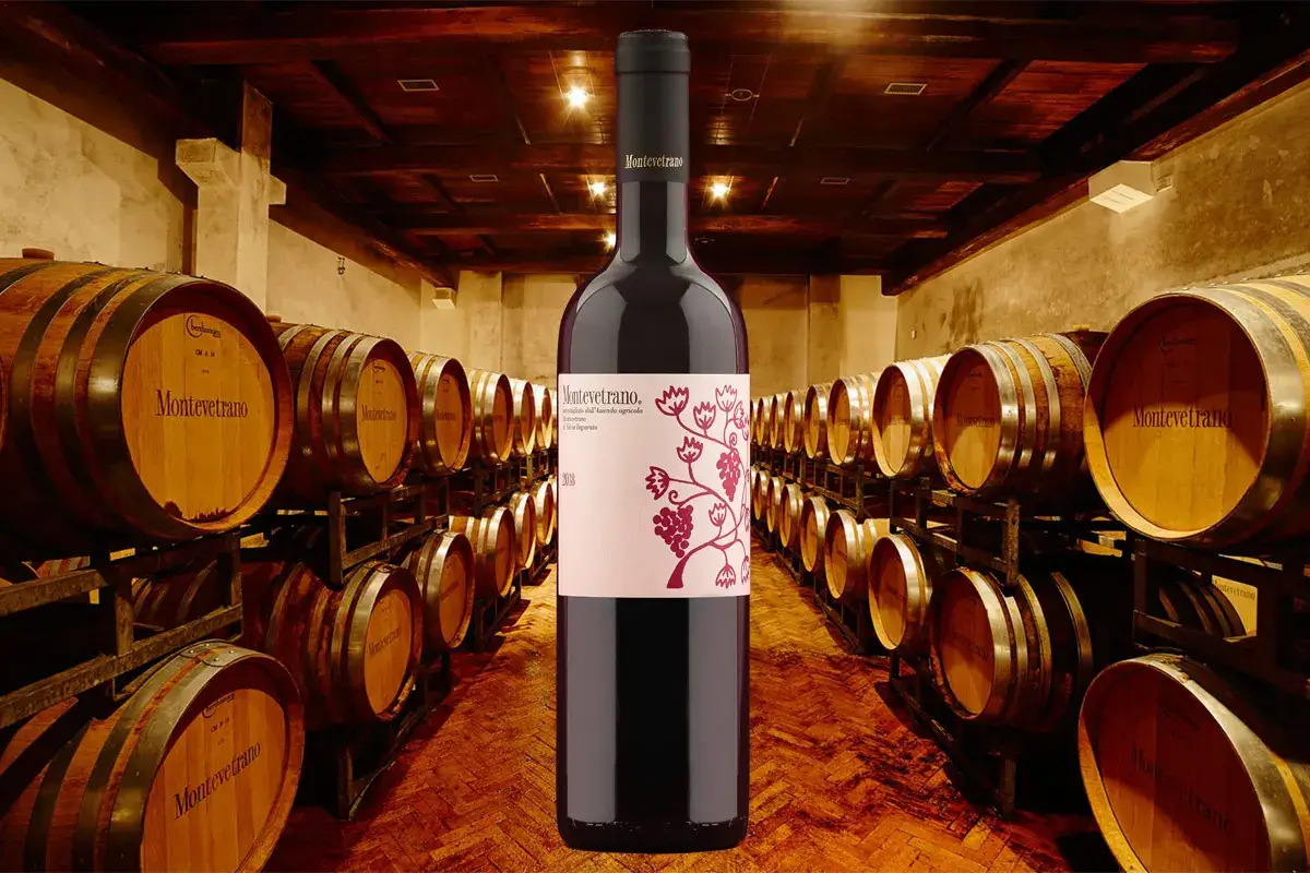 Montevetrano, una passione tutta salernitana per il vino lunga 30 anni