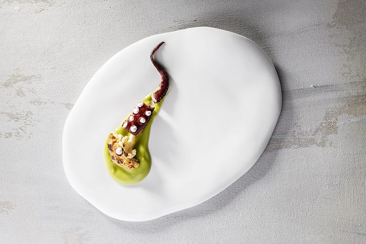 Polpo alla griglia, avocado, cavolfiore marinato al miso - Da Senigallia al mondo L’arte in tavola con Moreno Cedroni