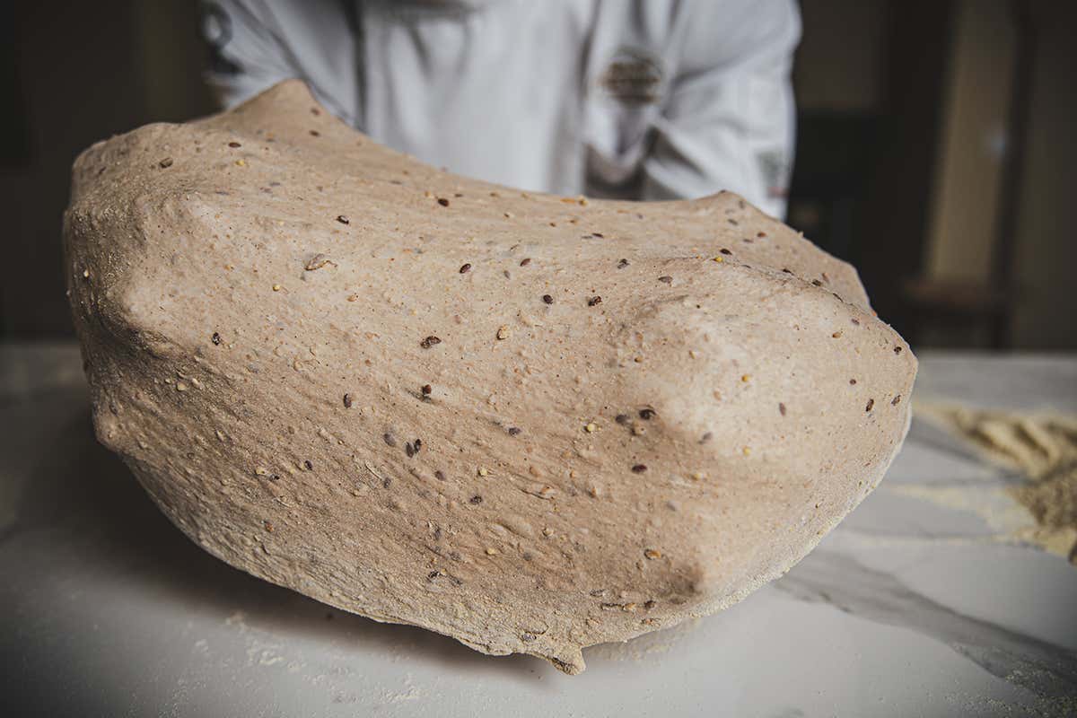 Farina multicereali scura e con germe di grano “vitale” Moreschina Ricca, la farina multicereali che unisce gusto e salute