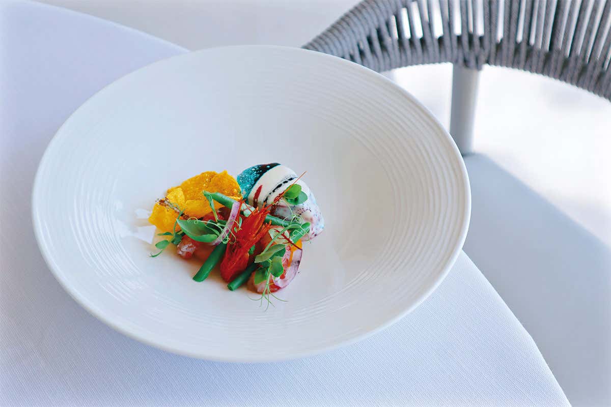 Morone oceanico, crema di patate, panzanella toscana e gambero crudo - foto Giulia Nutricati Morone oceanico, crema di patate, panzanella toscana e gambero crudo Morone oceanico, crema di patate, panzanella toscana e gambero crudo - foto Giulia Nutricati Morone oceanico, crema di patate, panzanella toscana e gambero crudo