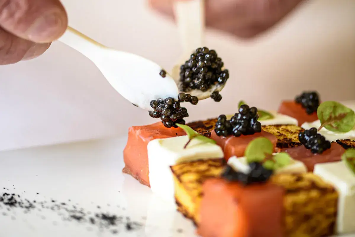 Mosaico di salmone norvegese, pan brioche, burro di malga e Caviar Calvisius Siberian Royal Calvisius Caviar: ecco come si produce caviale in modo sostenibile