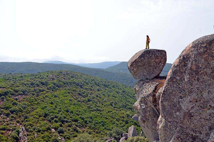 (Mountain Film Festival Le terre alte del mondo rivivono a Milano) (Mountain Film Festival Le terre alte del mondo rivivono a Milano)