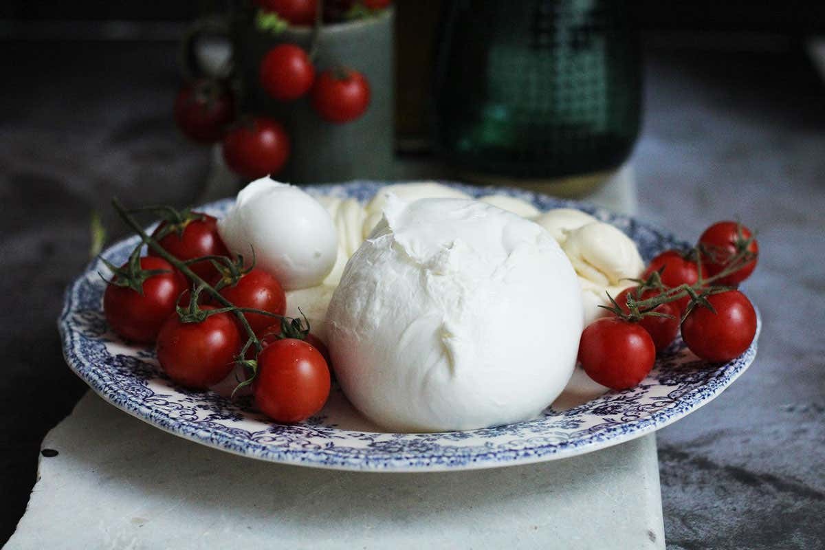 Mozzarella di Bufala Campana 40 anni il Consorzio, 25 la Dop Mozzarella di Bufala Campana 40 anni il Consorzio, 25 la Dop