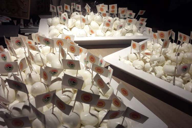(Rapporto Intesa Sanpaolo sulle Dop Mozzarella di bufala nelle top 20) (Rapporto Intesa Sanpaolo sulle Dop Mozzarella di bufala nelle top 20)