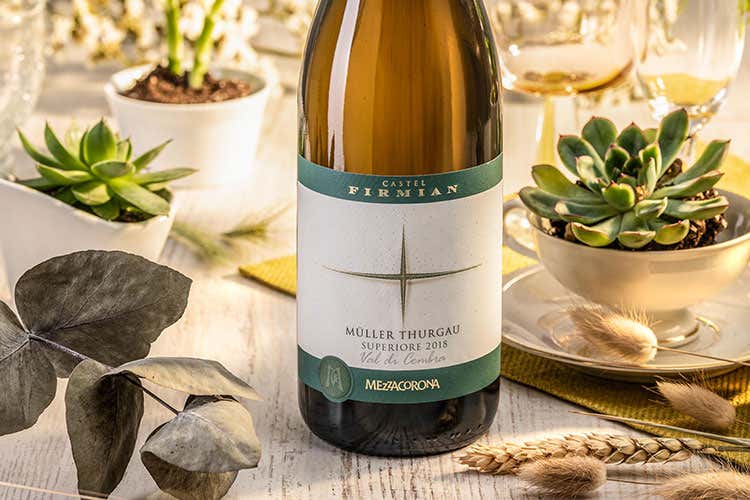 Müller Thurgau Castel Firmian Vino eroico dall’anima trentina Müller Thurgau Castel Firmian Vino eroico dall’anima trentina