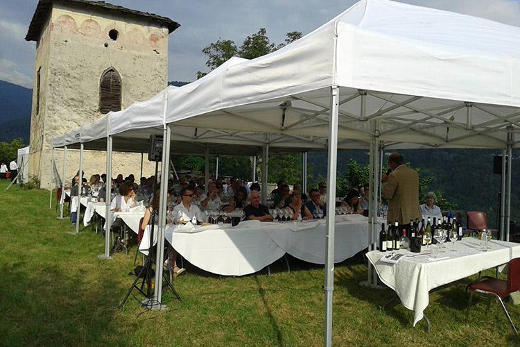 (Müller Thurgau, vino di montagna In Val di Cembra la 31ª edizione)