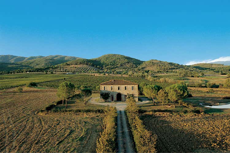 Fattoria La Vialla (Mundus Vini, per le etichette bio il miglior produttore è toscano) Fattoria La Vialla (Mundus Vini, per le etichette bio il miglior produttore è toscano)