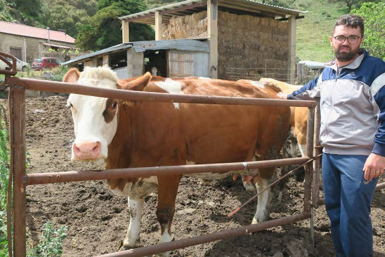 Animali sani e ben allevati per formaggi di qualità - Freschi o stagionati, ma sempre bio I formaggi della Tenuta Manchi Animali sani e ben allevati per formaggi di qualità - Freschi o stagionati, ma sempre bio I formaggi della Tenuta Manchi