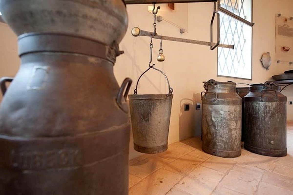 Nel Museo del Parmigiano Reggiano un antico casello circolare ospita strumenti caseari e testimonianze che raccontano la nascita e la lavorazione del celebre formaggio