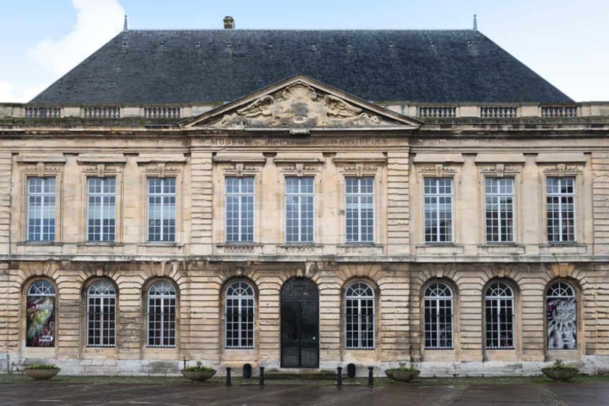 Le Havre Museo Storia Naturale A Le Havre per una vacanza impressionista e golosa