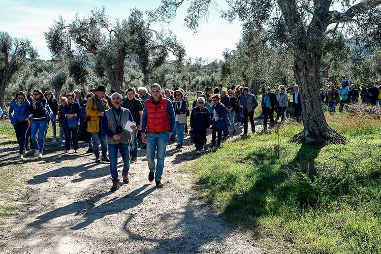 Il 69% dei turisti italiani dichiara di voler visitare un frantoio in uno dei prossimi viaggi - Nasce il Concorso Turismo dell’olio In gara le migliori esperienze sul tema Il 69% dei turisti italiani dichiara di voler visitare un frantoio in uno dei prossimi viaggi - Nasce il Concorso Turismo dell’olio In gara le migliori esperienze sul tema