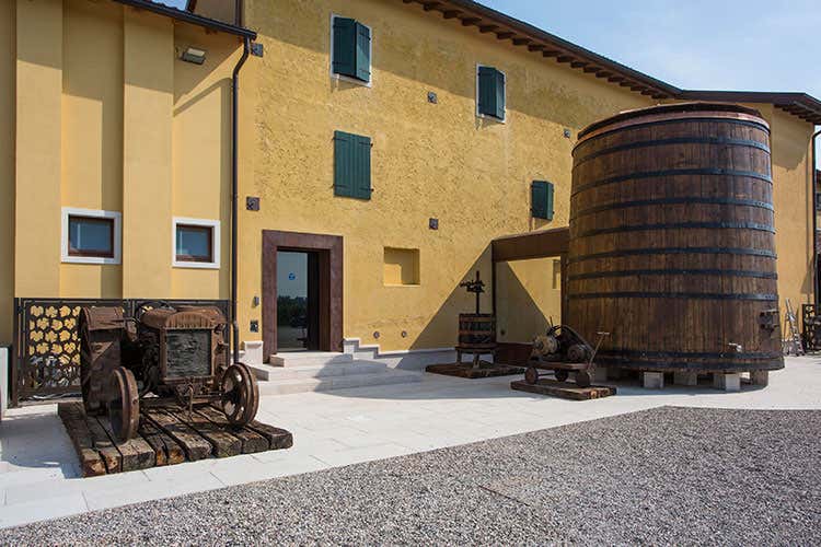 Nasce il Masi Wine Discovery Museum Un percorso alla scoperta del vino