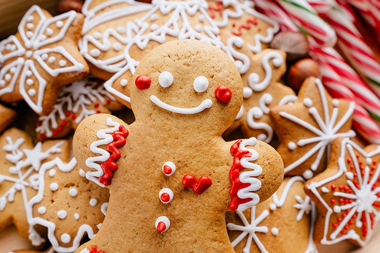 Una delle delizie preferite sono i biscotti al ginger - Natale lontani causa covid? L’augurio lo manda Santa Claus