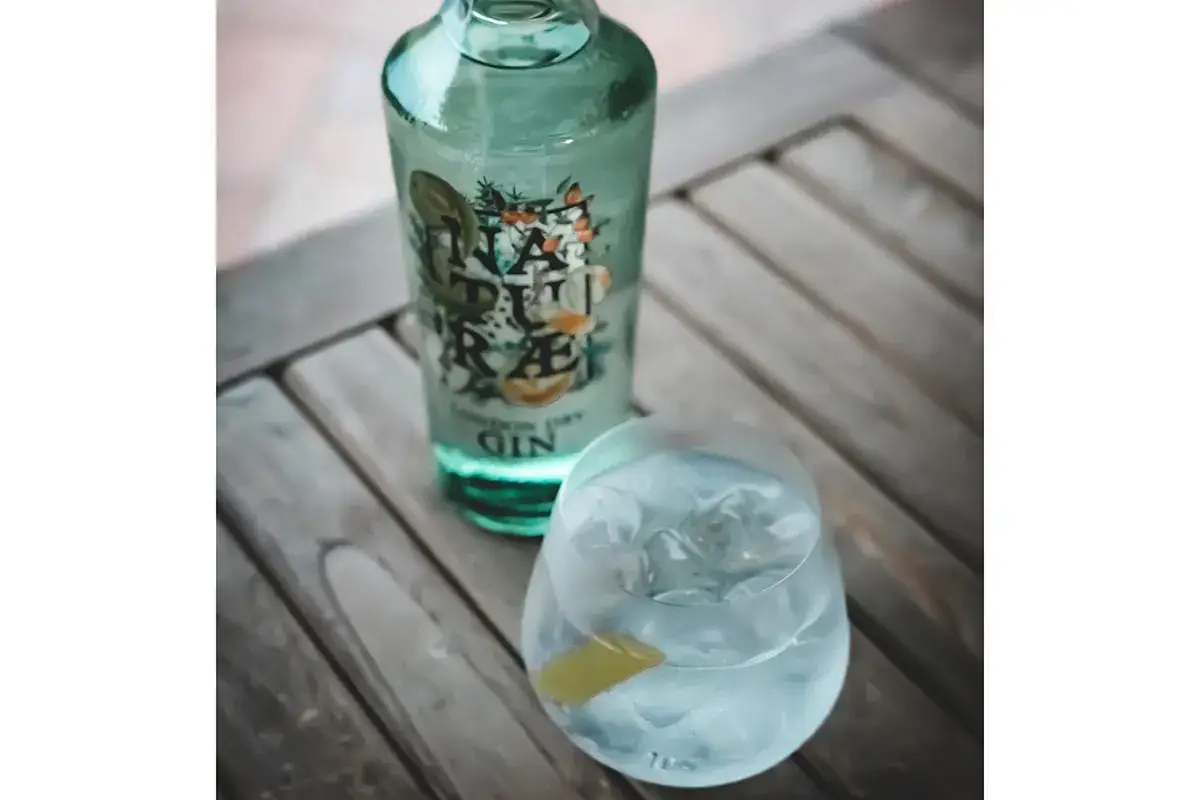 Naturae Tonic Gin Fructetum protagonista di cocktail che brindano alla natura