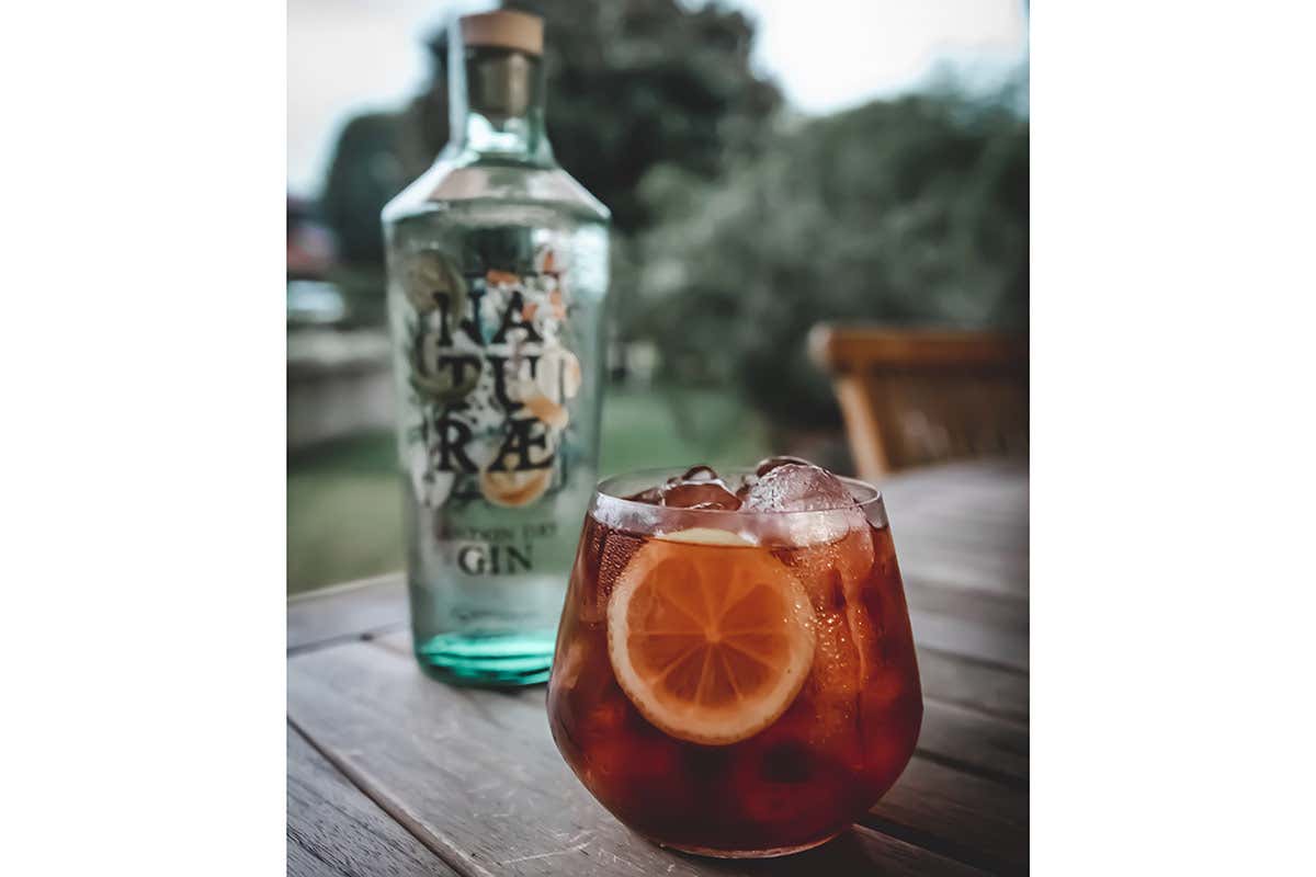 Negroni Gin Fructetum protagonista di cocktail che brindano alla natura Negroni Gin Fructetum protagonista di cocktail che brindano alla natura