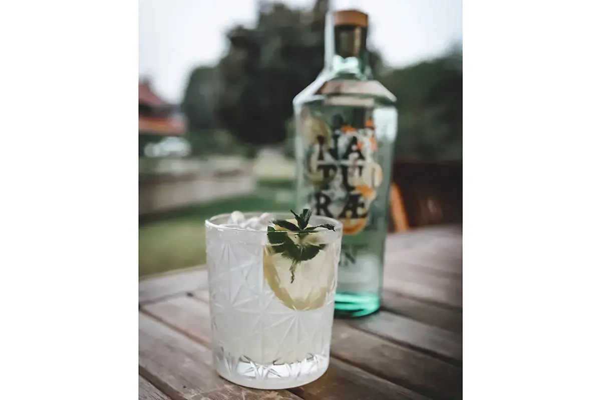 Tom Collins Gin Fructetum protagonista di cocktail che brindano alla natura