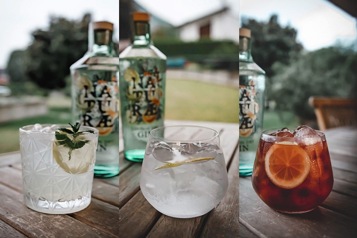 Gin Fructetum protagonista di cocktail che brindano alla natura