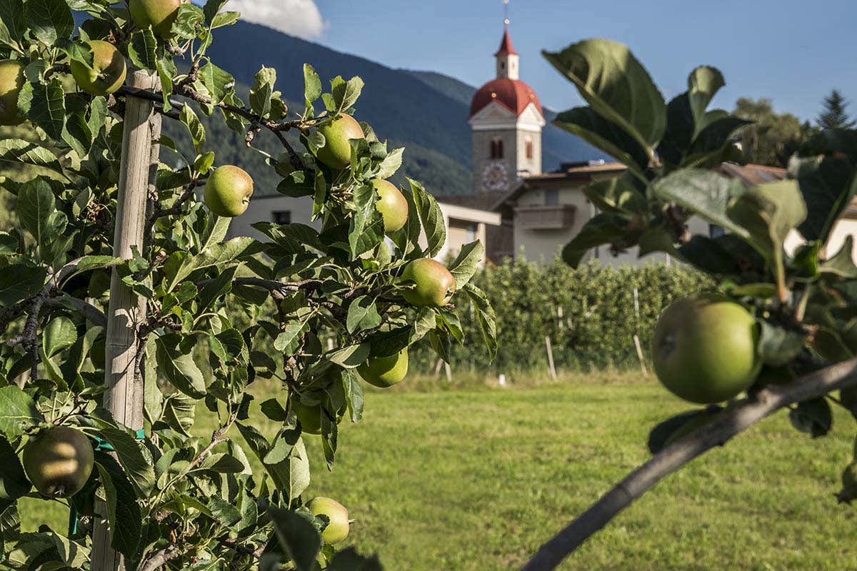 Altopiano delle mele di Naz-Sciaves. Foto: TG Natz-Schab, Hannes Niederkofler Vigneti, ghiacciai e citt&agrave; da cartolina: benvenuto in Valle Isarco