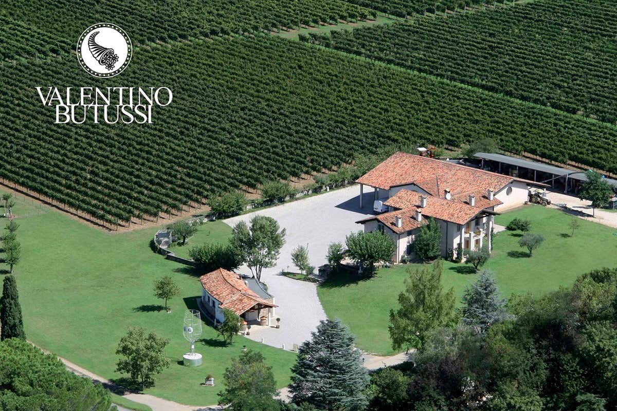 Nei vini di Valentino Butussi tutto l'orgoglio friulano