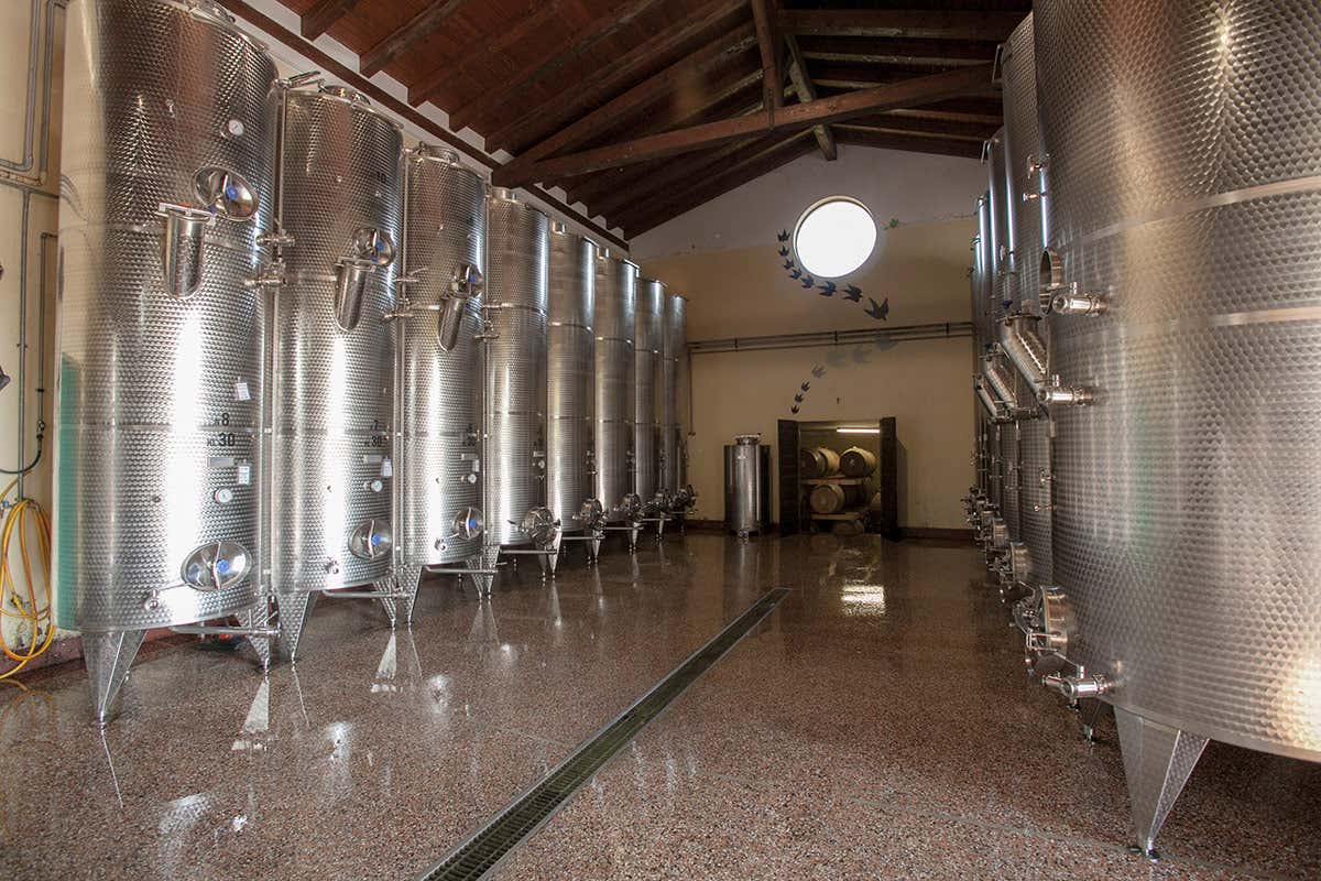 Nei vini di Valentino Butussi tutto l'orgoglio friulano