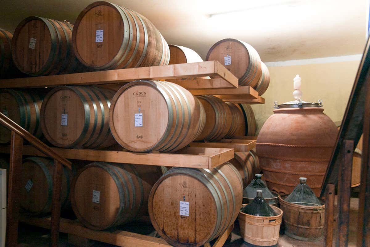 Nei vini di Valentino Butussi tutto l'orgoglio friulano