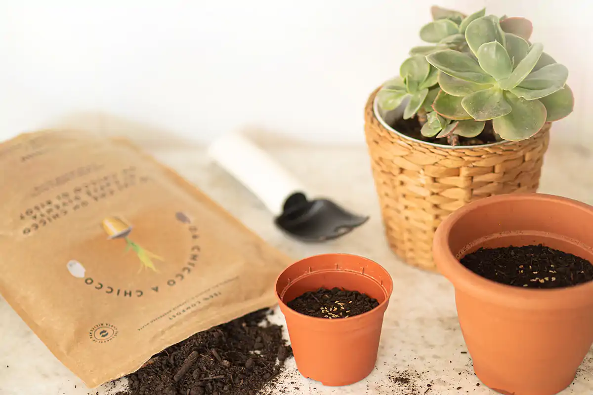 Oltre il riciclo delle capsule, attenzione alla solidariet&agrave; alimentare in collaborazione con il Banco Alimentare Nespresso, riciclo delle capsule di caff&egrave; per salvare l'ambiente