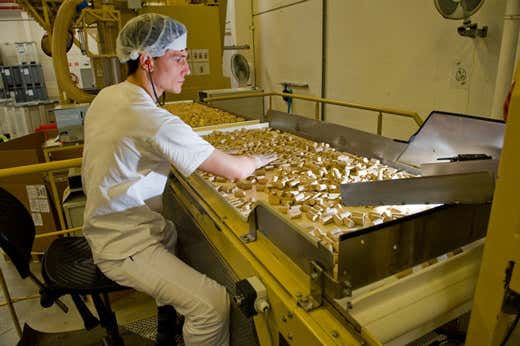 credito foto: Dominic Verhulst