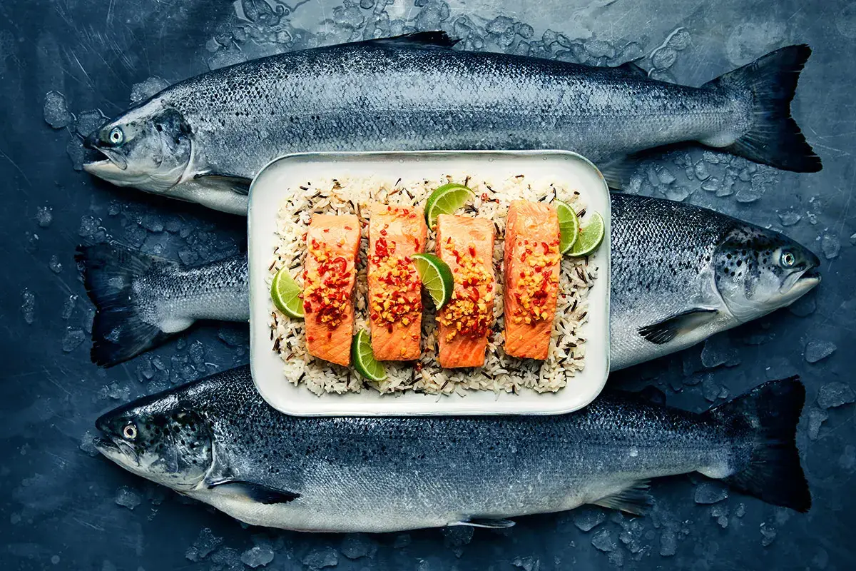 Salmone norvegese: buono, sostenibile e ideale per infinite ricette