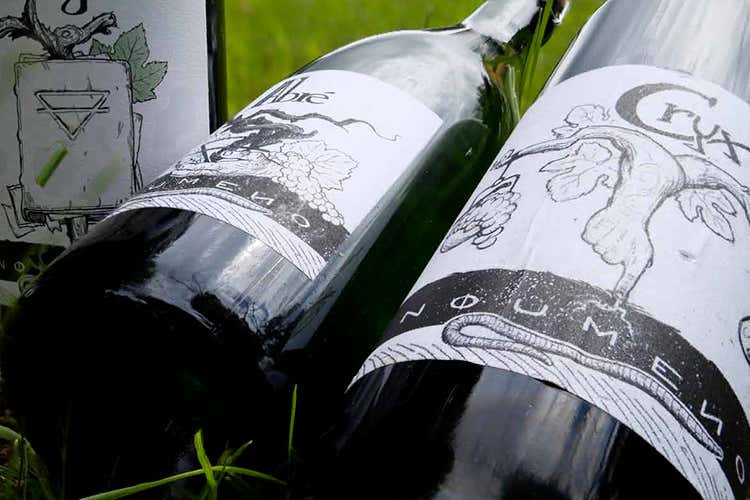 Abr&eacute; e Crux sono due sue etichette - Conoscere la terra Cos&igrave; Marco Faccioli fa vino