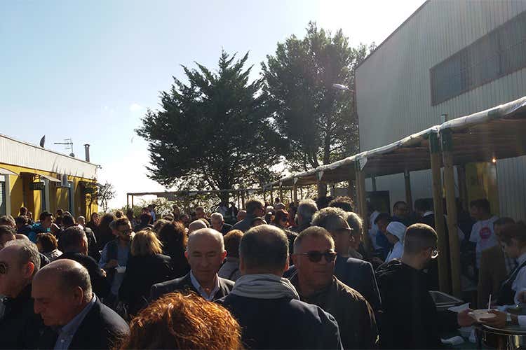 NovOlio, un viaggio nell&rsquo;eccellenza dell&rsquo;extravergine siciliano di qualit&agrave;