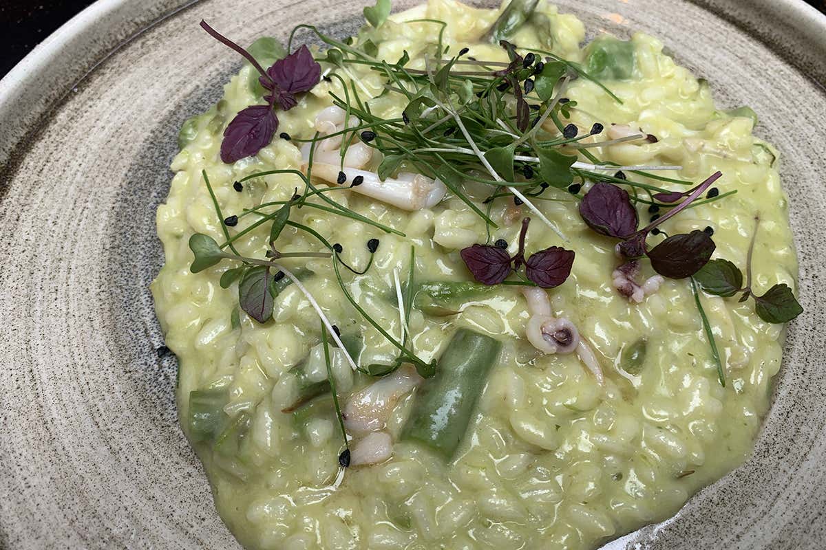 Risotto con asparagi, calamari e melanzane Numa, la giostra gastronomica di Davide Cianelli che sa di Roma