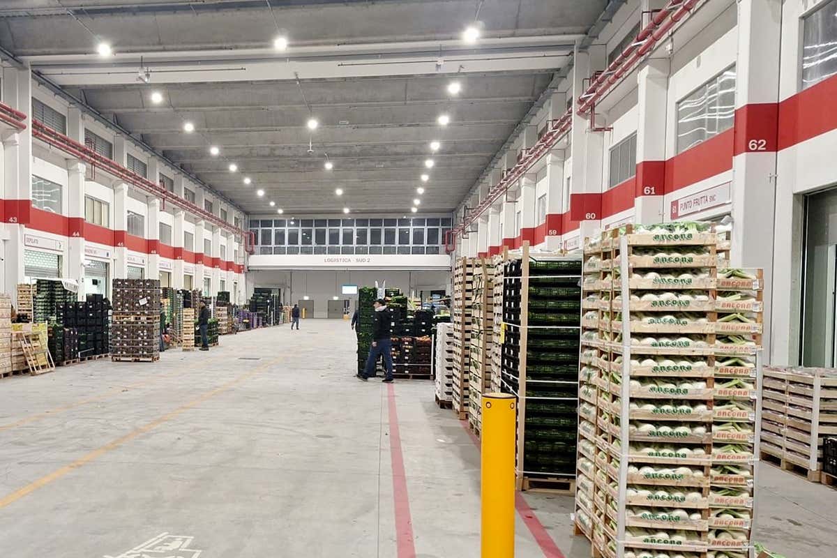 Mercato Alimentare Milano: apre il nuovo spazio da 22mila m² del Padiglione 2