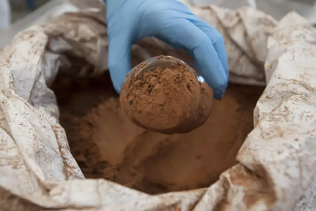 Dallo stabilimento di Accra proviene la maggior quantit&agrave; di cacao Nutkao: il made in Italy del cioccolato inizia in Africa