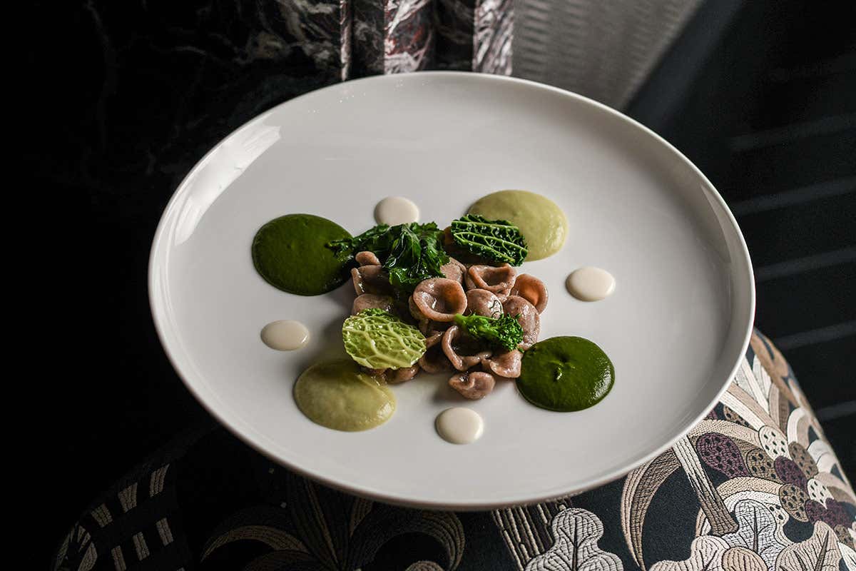 Orecchiette al grano arso, verza al pepe verde, cime di rapa, caprino alla cenere (foto Benedetta Bassanelli) Da “Lino” a Pavia la cucina punta su stile e ricerca