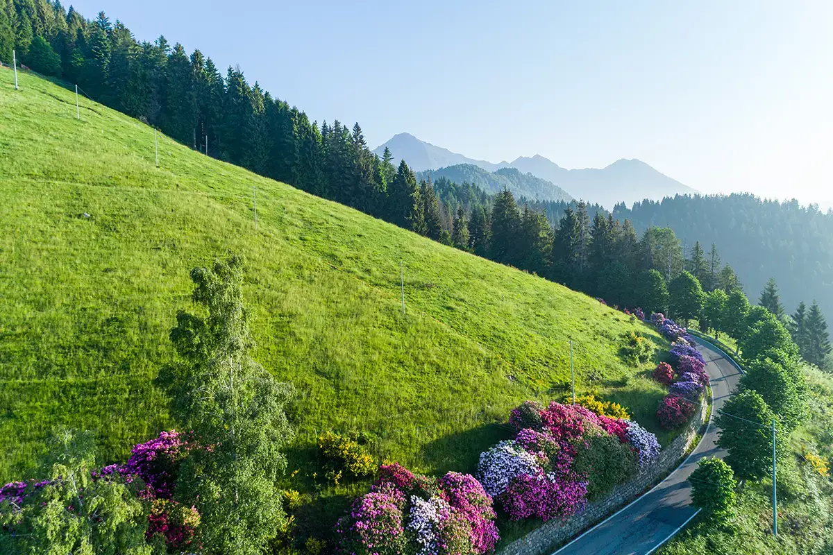 Oasi Zegna Pasqua in van? Direzione Piemonte!