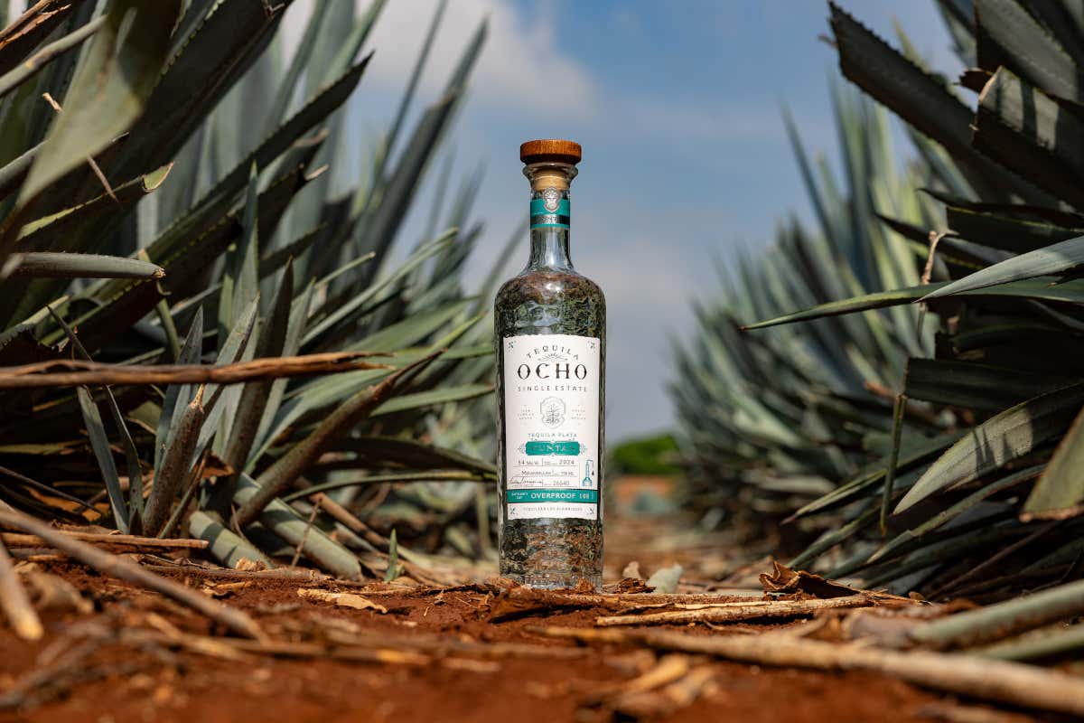 Tequila Ocho, nuovo design e partnership con 50 Best Restaurant