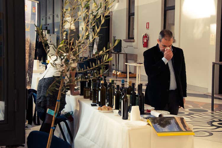 (Olio Officina Festival, 7ª edizione con tema Io sono un albero) (Olio Officina Festival, 7ª edizione con tema Io sono un albero)