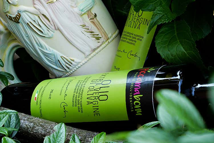 L'olio Piccamabonu, da Nocellara del Belice - Piccamabonu, una chicca olearia Assaggiarla fa volare in Sicilia L'olio Piccamabonu, da Nocellara del Belice - Piccamabonu, una chicca olearia Assaggiarla fa volare in Sicilia