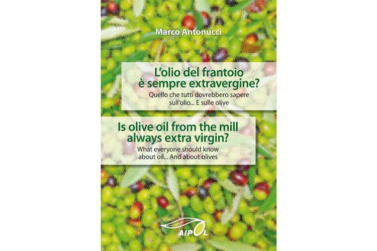 (L'olio del frantoio è sempre extravergine? Marco Antonucci informa i consumatori) (L'olio del frantoio è sempre extravergine? Marco Antonucci informa i consumatori)