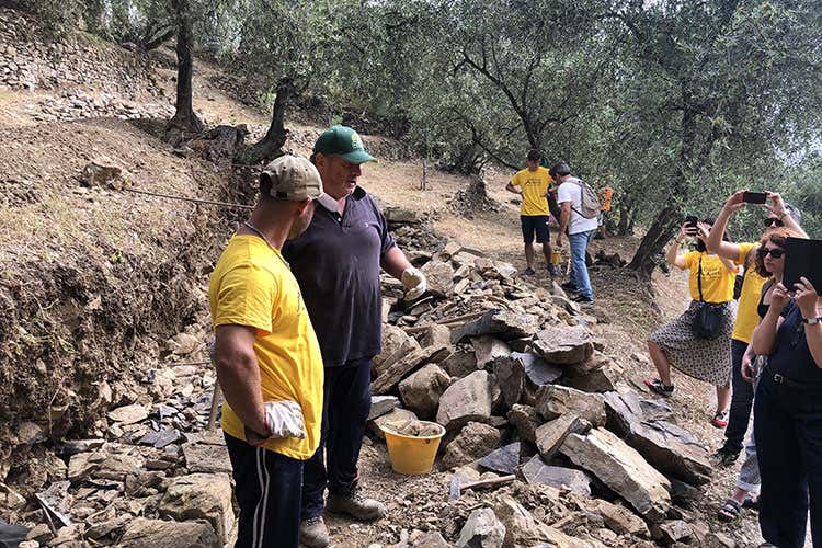 Dimostrazioni a Oliveti Aperti (Oliveti Aperti L’esordio è un successo)