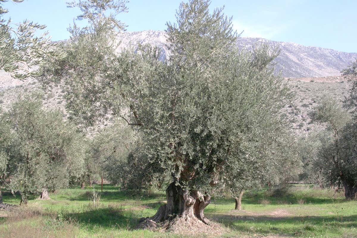 L'importanza dei territori Arriva l'