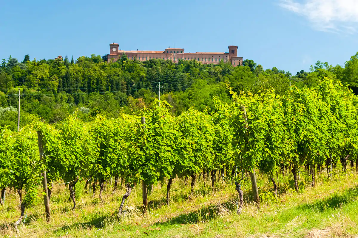Oltrep&ograve; Pavese Mosaico di uve, terra e uomini
