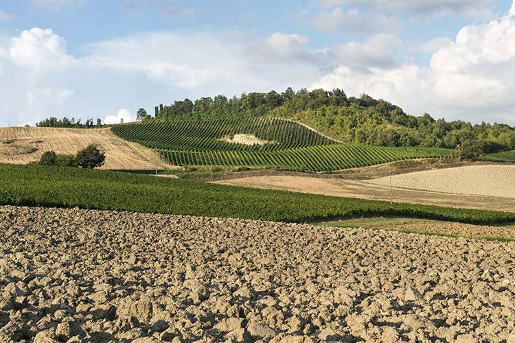 L'assemblea ha nominato il nuovo Consiglio di Amministrazione per il triennio 2021/2023 - Oltrepò Pavese, approvato il bilancio e scelti i 21 consiglieri L'assemblea ha nominato il nuovo Consiglio di Amministrazione per il triennio 2021/2023 - Oltrepò Pavese, approvato il bilancio e scelti i 21 consiglieri