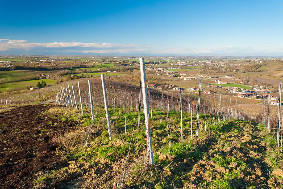 Oltrep&ograve; Pavese, variet&agrave; e identit&agrave; Un territorio capace di stupire