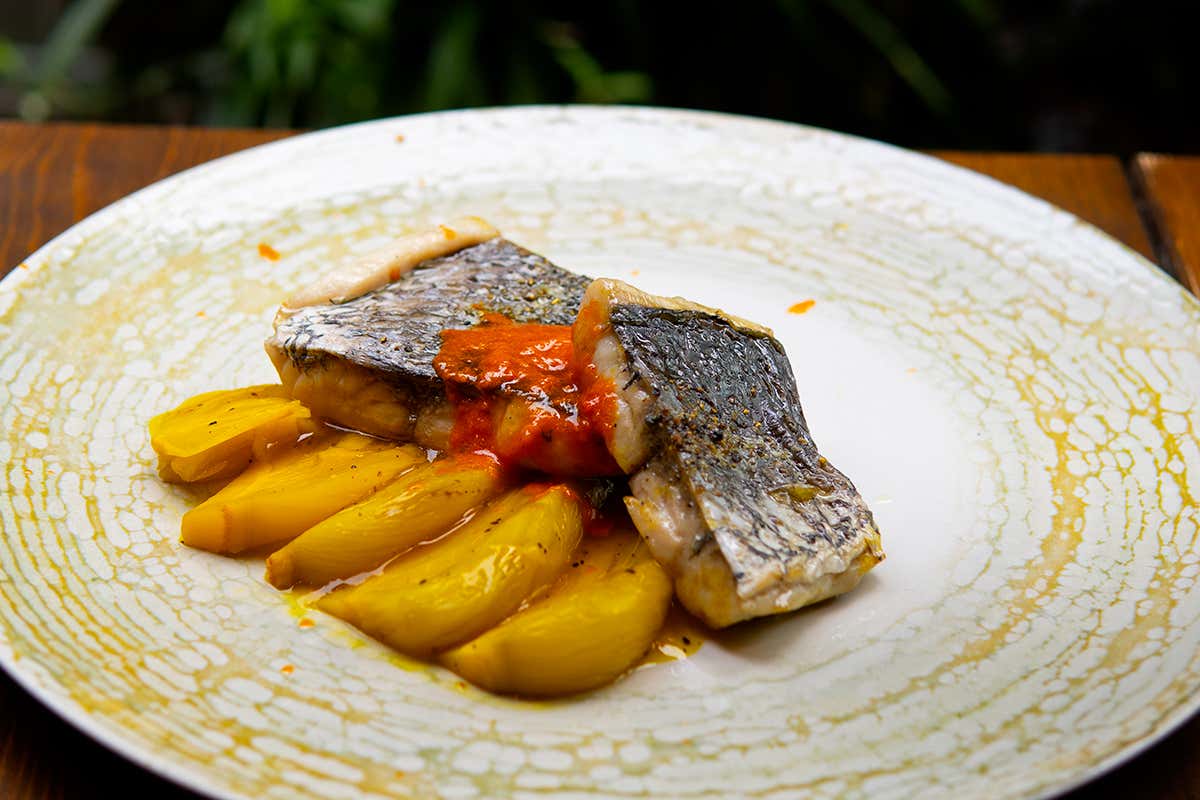 Ombrina su finocchi allo zafferano crema di peperoni e pomodori