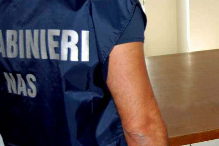 (Operazione Malacarne, arresti e denunce Irregolarità in 30 tra scuole e ospedali) (Operazione Malacarne, arresti e denunce Irregolarità in 30 tra scuole e ospedali)