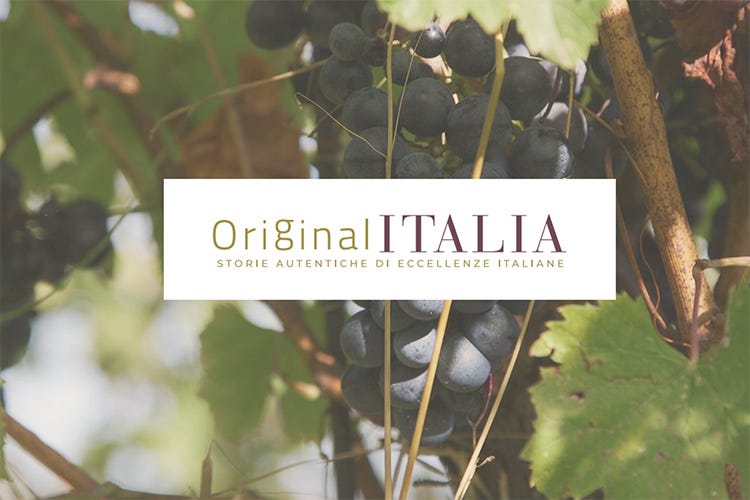 OriginalItalia dà spazio ai vini di nicchia, ai vini di qualità, ai grandi vini italiani con una storia da raccontare - OriginalItalia, portale e-commerce dedicato al vino italiano di qualità