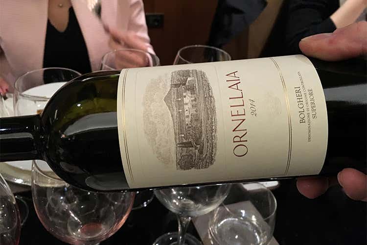 Ornellaia espressione del territorio I segreti delle sue basi e dei vigneti